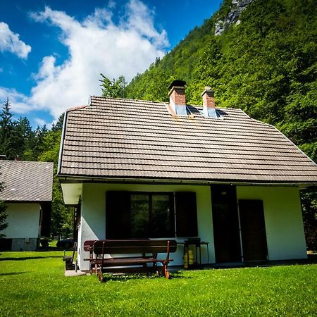 Pocitniska Hisa Radovna Villa Zgornja Radovna Buitenkant foto