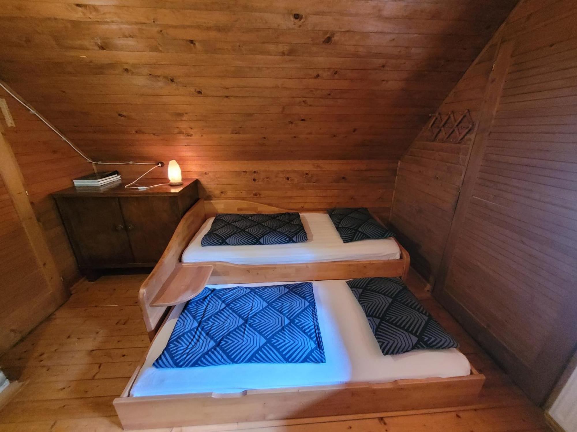 Pocitniska Hisa Radovna Villa Zgornja Radovna Buitenkant foto