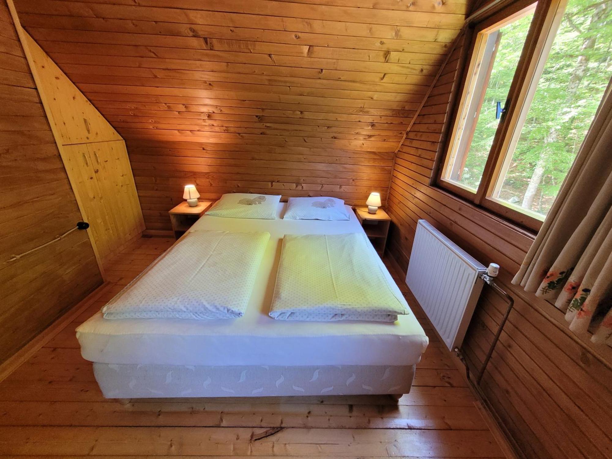 Pocitniska Hisa Radovna Villa Zgornja Radovna Buitenkant foto