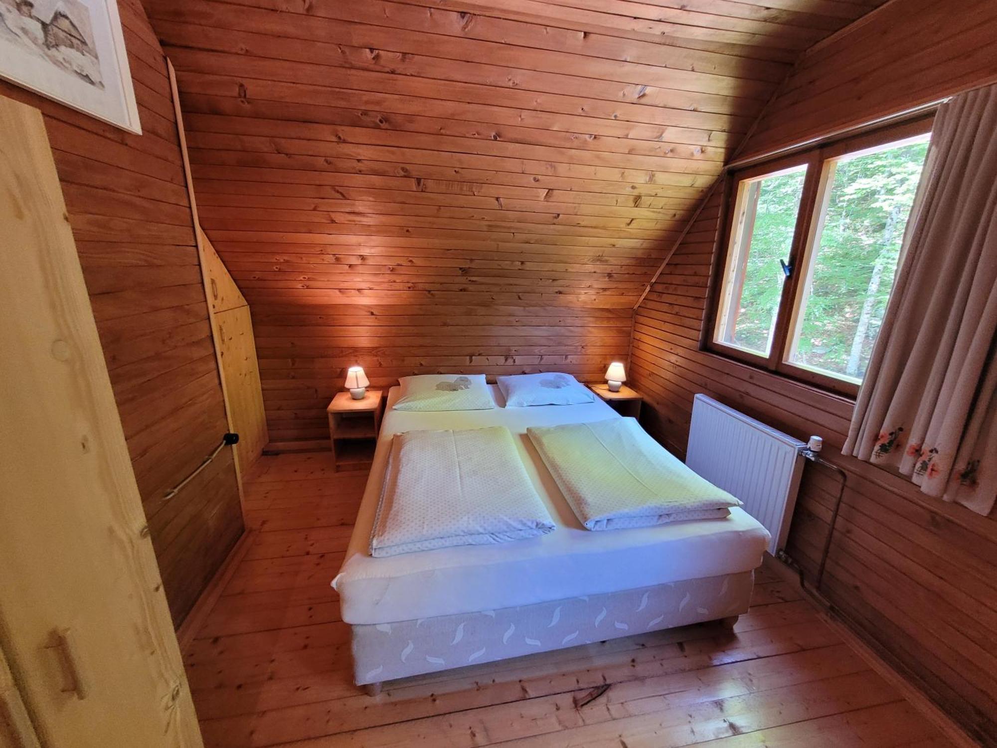 Pocitniska Hisa Radovna Villa Zgornja Radovna Buitenkant foto