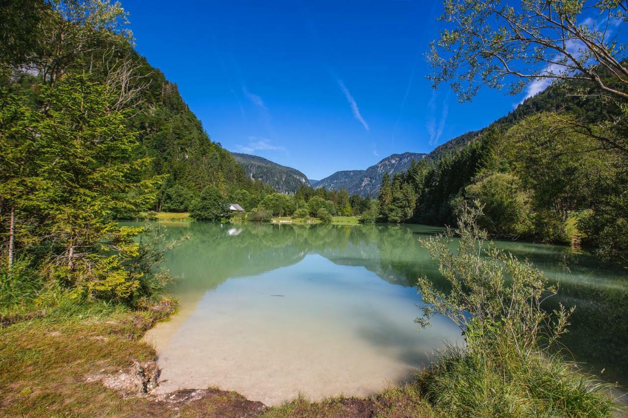 Pocitniska Hisa Radovna Villa Zgornja Radovna Buitenkant foto
