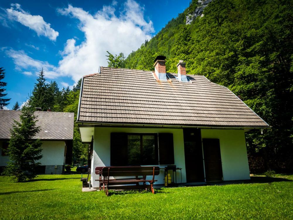 Pocitniska Hisa Radovna Villa Zgornja Radovna Buitenkant foto