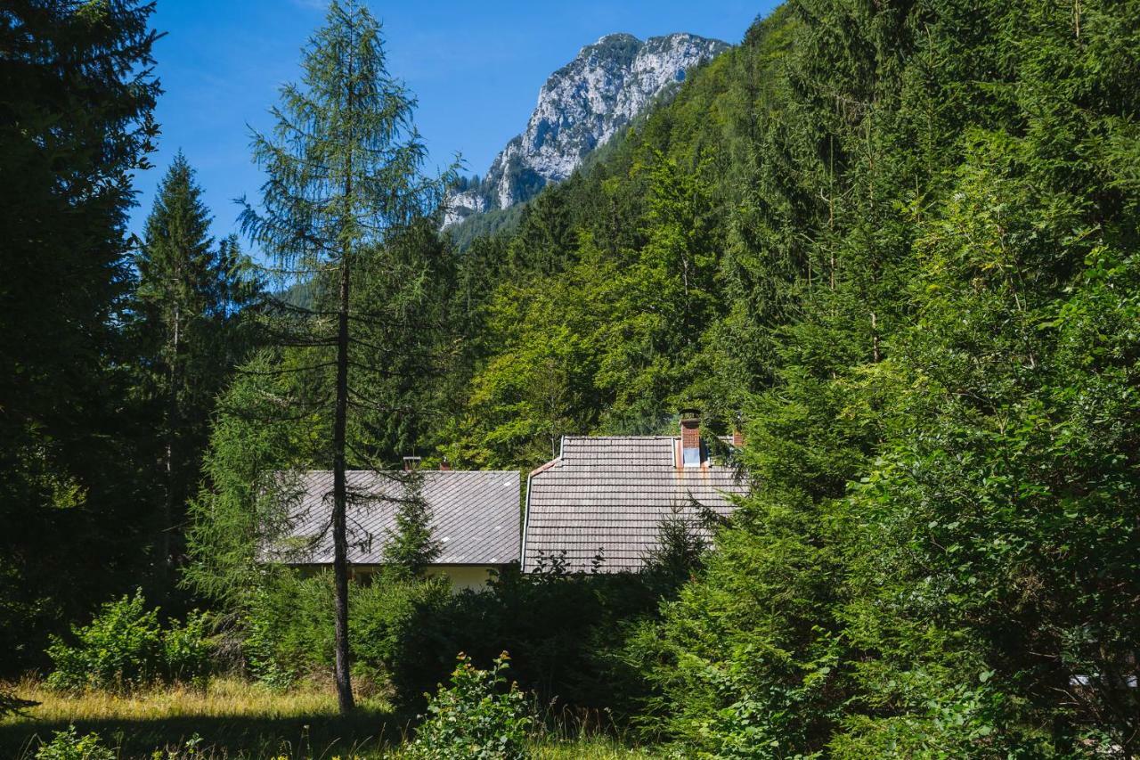 Pocitniska Hisa Radovna Villa Zgornja Radovna Buitenkant foto