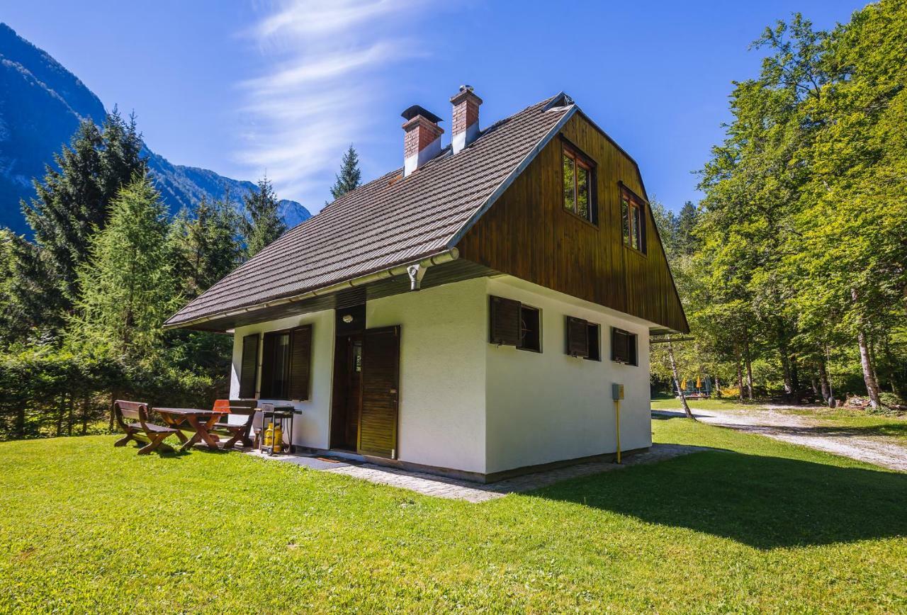 Pocitniska Hisa Radovna Villa Zgornja Radovna Buitenkant foto