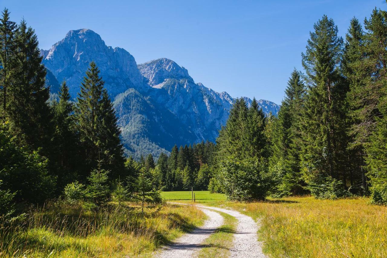 Pocitniska Hisa Radovna Villa Zgornja Radovna Buitenkant foto