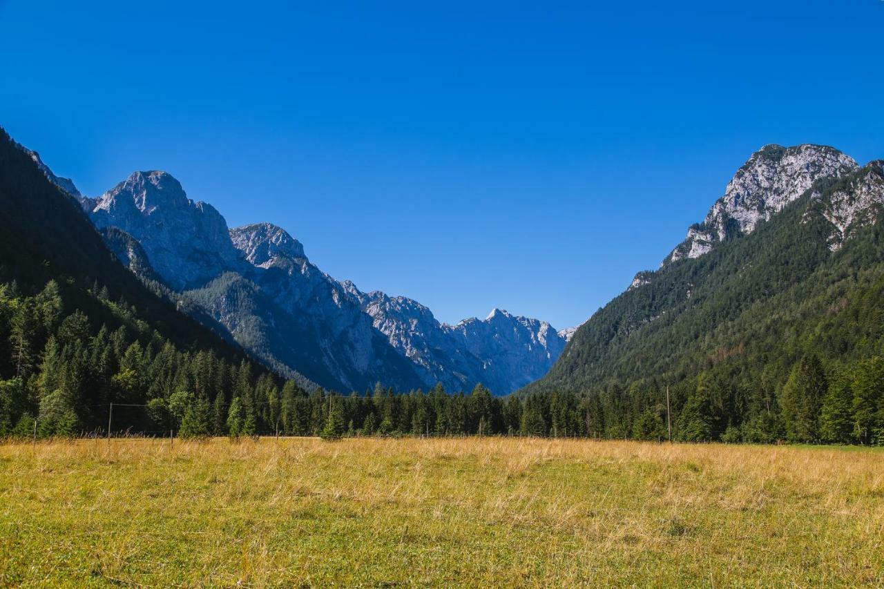 Pocitniska Hisa Radovna Villa Zgornja Radovna Buitenkant foto