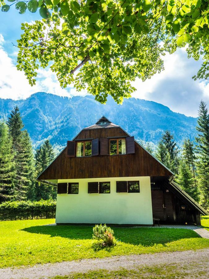 Pocitniska Hisa Radovna Villa Zgornja Radovna Buitenkant foto